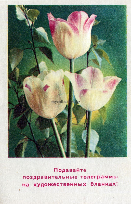 © Министерство связи СССР
Л-67540. 19.I.76 г. Бесплатно Зак. 1434
Т. 1.386 млн. КПК Send congratulatory telegrams on art forms 1976.jpg