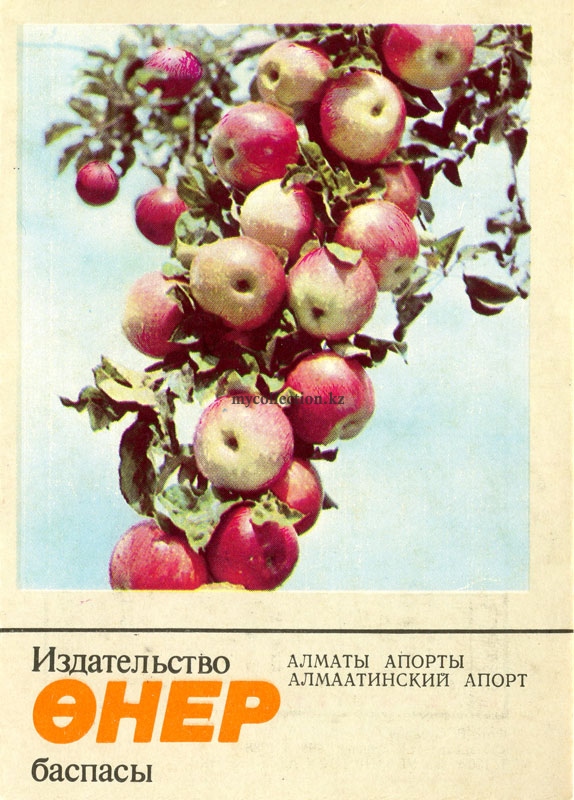 1986 Казахстан Яблоки Алматинский Апорт Apples Almaty Aport.jpg