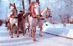 Зимняя тройка лошадей