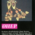 The earring. The find at Batyr Lake - Сеpьга. Находка у озеpа Батыp.jpg